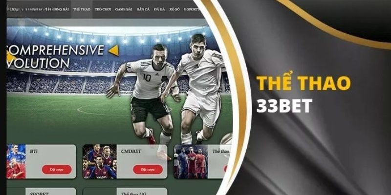 Cá cược thể thao 33bet